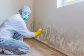 Best Real Estate Mold Inspection in , WI